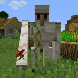 Meet your Posher, Riley